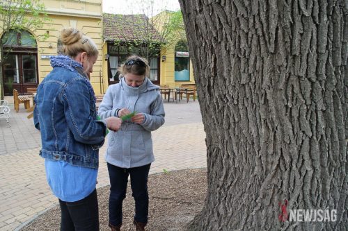 Tekintse meg galériánkat! (1/16)